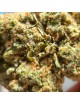 Jack Herer Aquaponie Suisse macro