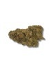 Jack Herer Aquaponie Suisse